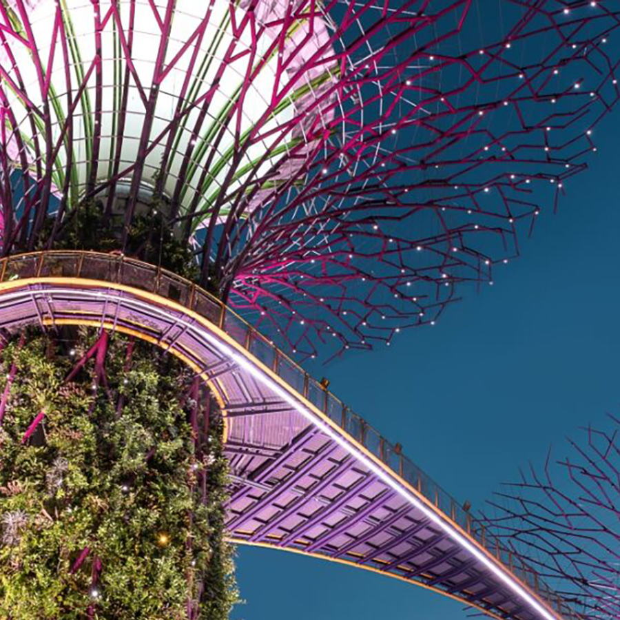 Understanding and Designing the Digital World